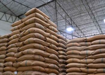 Strengthen buffer stock to curb high food Prices — NDC Communicator
