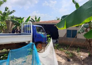 Assin Fosu: Learner driver kills mother of four