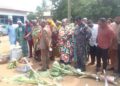 Kpone Katamanso Municipality celebrates 41st Farmers’ Day