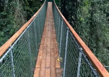 Amedzofe canopy walkway temporarily closed for safety assessment