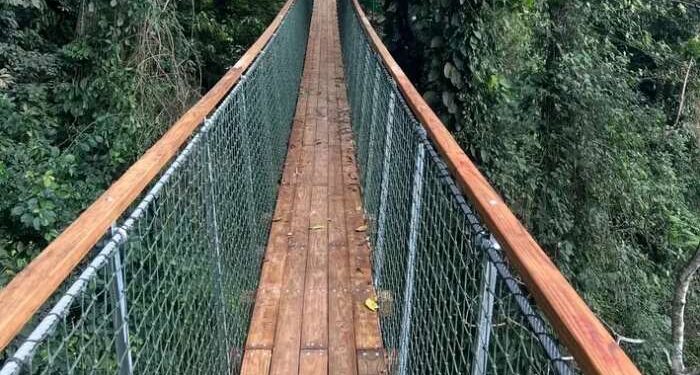 Amedzofe canopy walkway temporarily closed for safety assessment