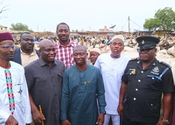 Agric Minister donates 50 streetlights to the biggest livestock market in West Africa
