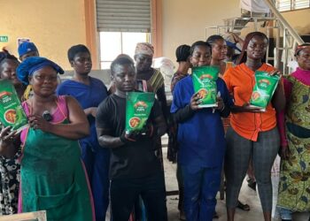 Agogo 1D1F plantain factory workers appeal to FDA to fast-track approval amidst lay-offs