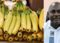 Cancer fears over chemically ripened bananas flooding Accra, Kumasi markets