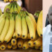 Cancer fears over chemically ripened bananas flooding Accra, Kumasi markets