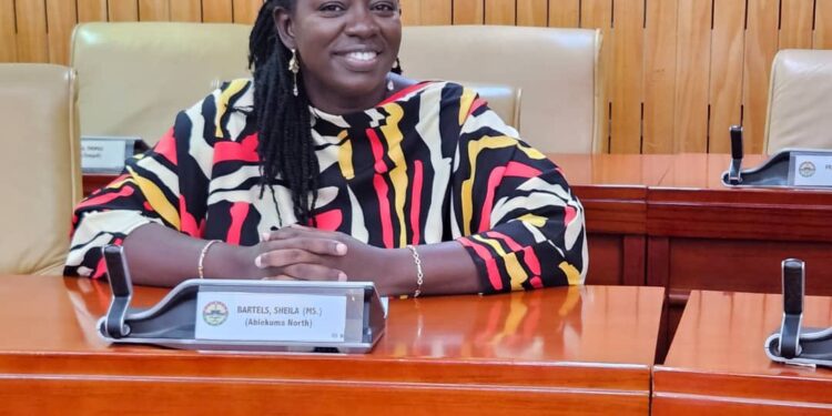 All the things they said about the NPP stealing money were never true – Sheila Bartels