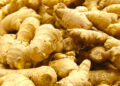 Ghana’s ginger crisis: A wake-up call for the agricultural sector