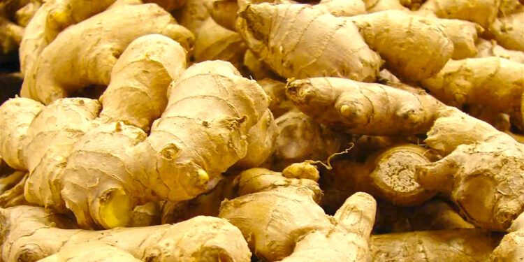 Ghana’s ginger crisis: A wake-up call for the agricultural sector
