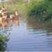 Ho West DCE: Viral video of pupils crossing River was ‘staged’