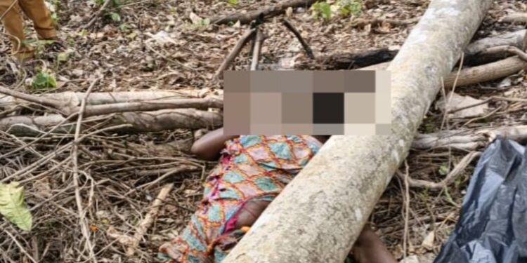 Fatal tree fall claims woman’s life in Juaboso forest reserve