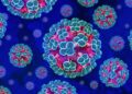 Ghana Health Service heightens surveillance over Hantavirus threat