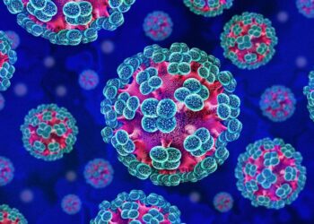Ghana Health Service heightens surveillance over Hantavirus threat