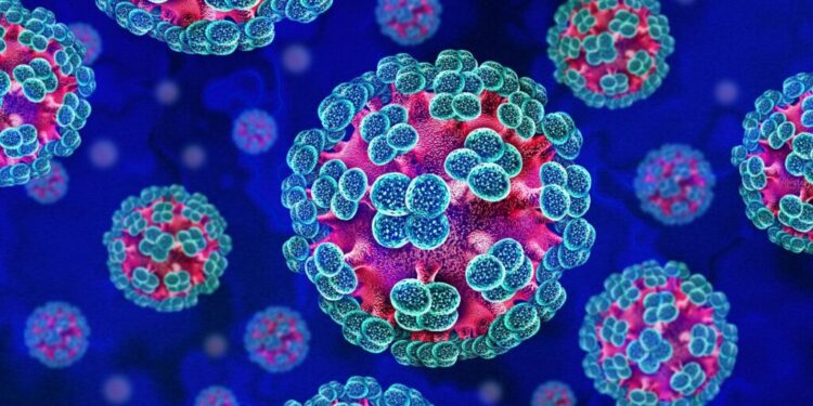 Ghana Health Service heightens surveillance over Hantavirus threat