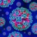Ghana Health Service heightens surveillance over Hantavirus threat