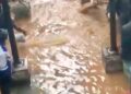 Flooding turns Sekondi Prison cells into pools of water as ageing drainage system fails