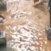 Flooding turns Sekondi Prison cells into pools of water as ageing drainage system fails