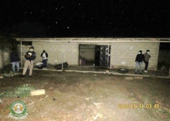 NACOC seizes over 2.3 tonnes of suspected cannabis in Volta region raid