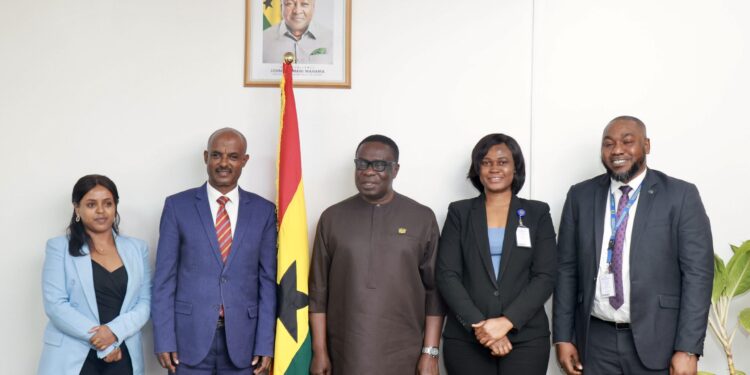 Ambassador-designate of Tanzania officially received by the Foreign Affairs Ministry