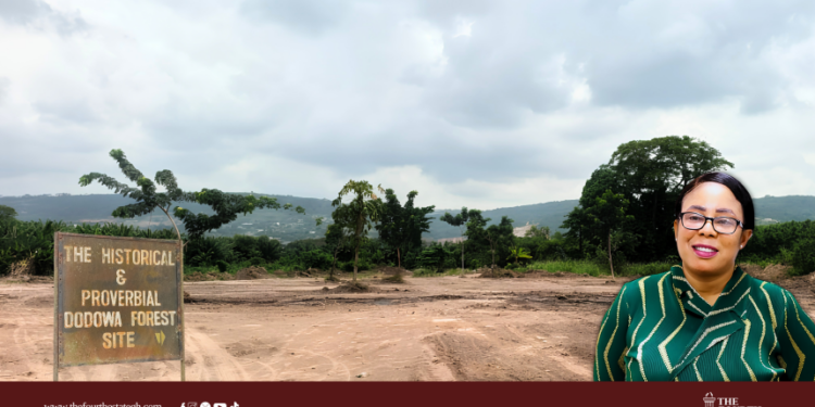Huge swathe of Dodowa Forest cleared to relocate traders, raising alarm among environmentalists