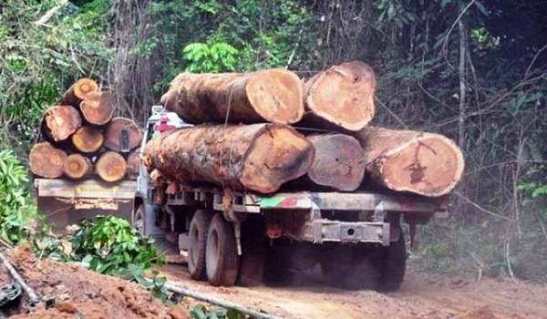 Richard Anning calls for stricter regulations on timber transportation to reduce road accidents