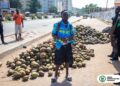 AMA arrests coconut trader over alleged use of bus stop as storage, trading space