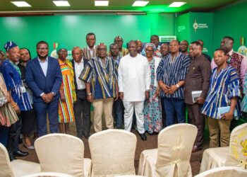 Thomas Ayertey calls for fair enforcement of mining laws