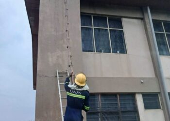 GNFS relocates bee swarm after student, teacher stung at vakpo sec-tech