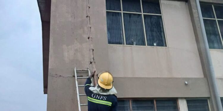 GNFS relocates bee swarm after student, teacher stung at vakpo sec-tech