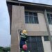 GNFS relocates bee swarm after student, teacher stung at vakpo sec-tech