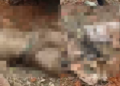 Western Region: Four killed, others injured in dynamite explosion at Aboso