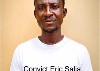 Upper West Police secure 22-year jail terms for two convicted thieves