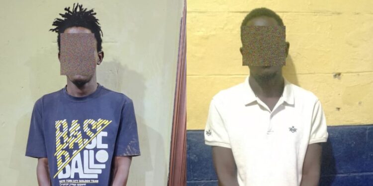 Police arrest two suspects over murder of man, injury to wife at Tuba