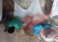 Disputed Yiidana chief, son shot dead as Northern Region chieftaincy conflict escalates