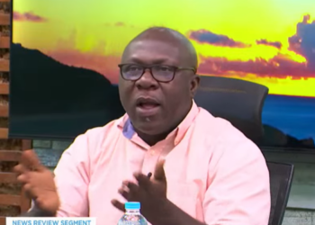Most security personnel allegedly on galamseyers’ payroll – Elvis Darko