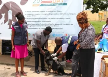 MoFA begins free mass rabies vaccination campaign nationwide
