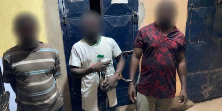 Police intercept articulator truck with 5,164 suspected narcotic parcels