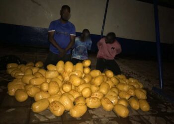Police arrest four, seize 142 parcels of suspected indian hemp in Northern Region