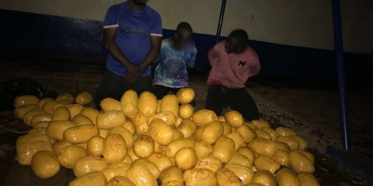 Police arrest four, seize 142 parcels of suspected indian hemp in Northern Region