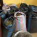 Marine Police arrest 31-year-old man over suspected cannabis plantation in Volta Region