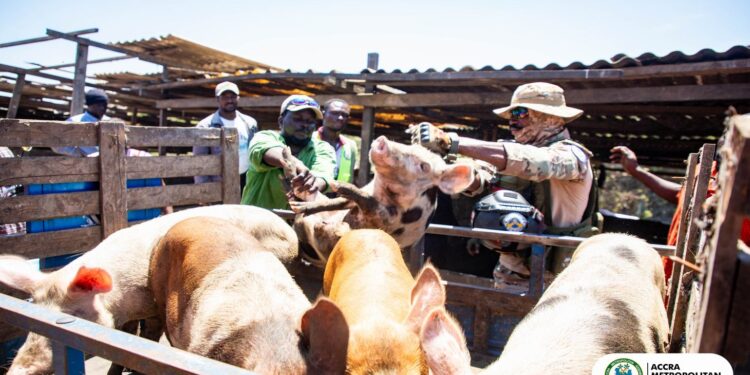 AMA removes illegal pigsty impeding National Emergency Waste Evacuation Exercise at Agbogbloshie