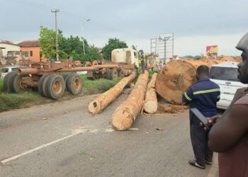 Police urged to take stricter action against trucks carrying timber logs after Ofankor accident