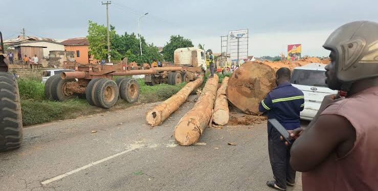 Police urged to take stricter action against trucks carrying timber logs after Ofankor accident