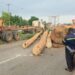 Police urged to take stricter action against trucks carrying timber logs after Ofankor accident