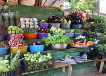 Toxic metals from galamsey found in vegetables across mining districts – Study