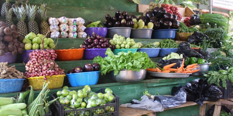 Toxic metals from galamsey found in vegetables across mining districts – Study